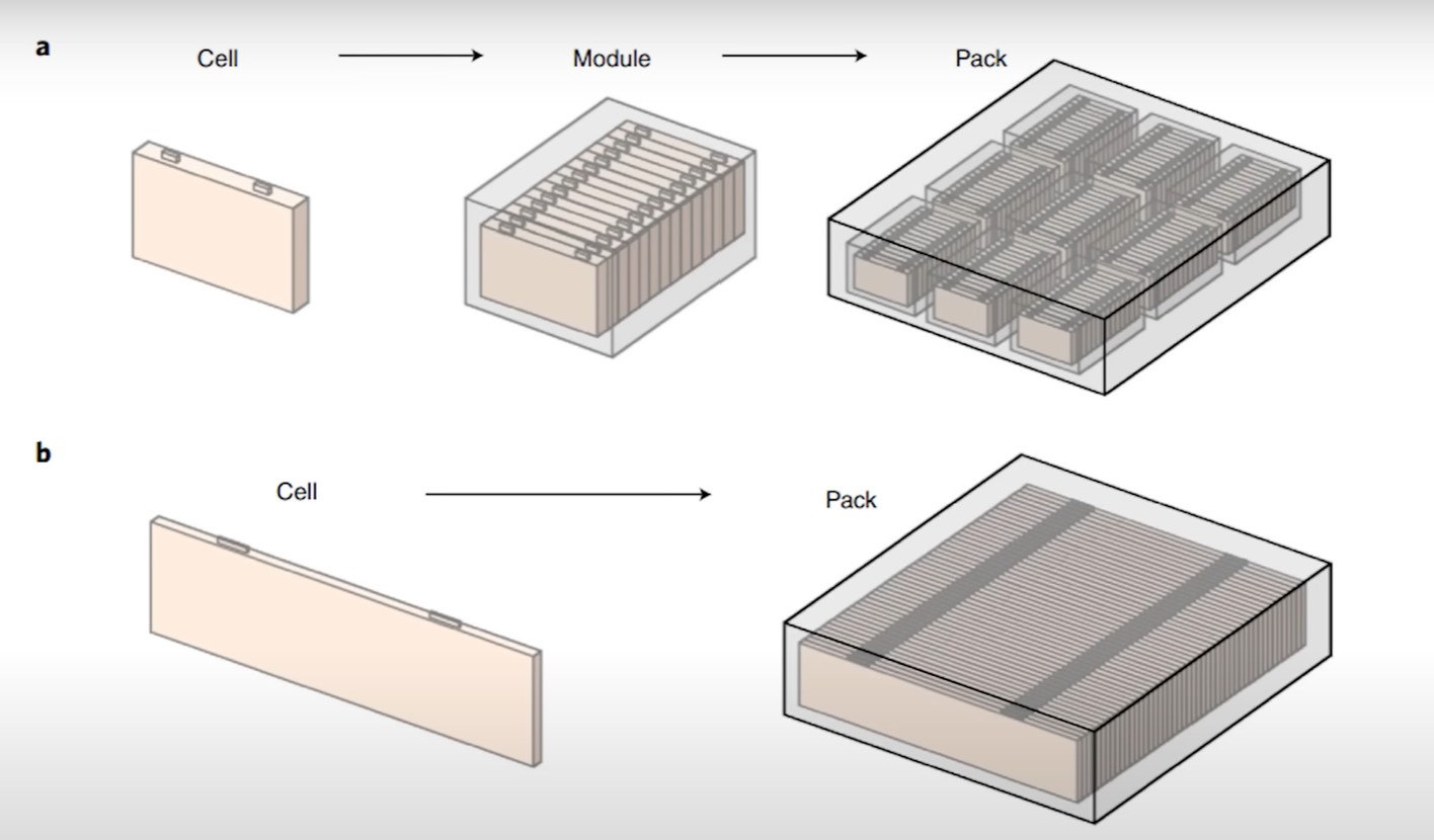 long and parallel cells